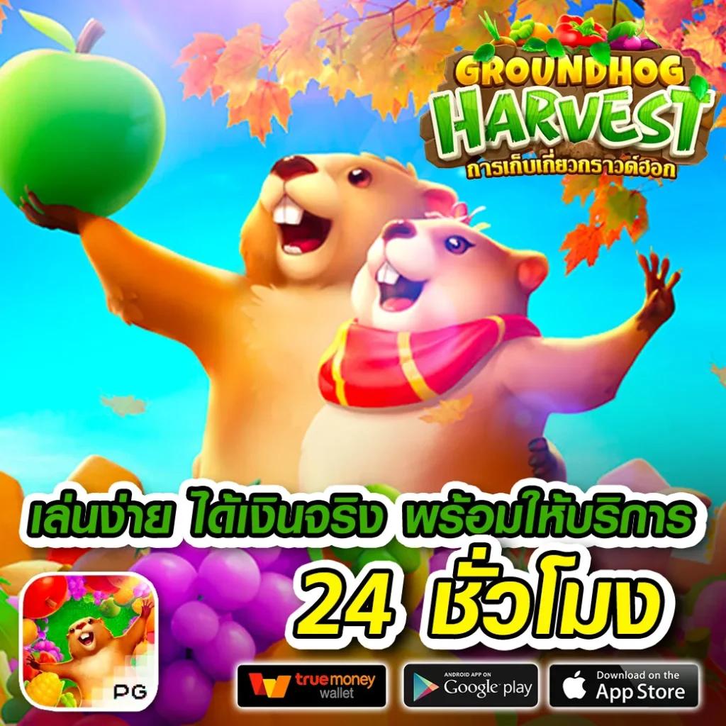 all168win คาสิโนอันดับหนึ่ง รวมเกมสล็อตยอดนิยมและโปรโมชั่นสุดคุ้ม
