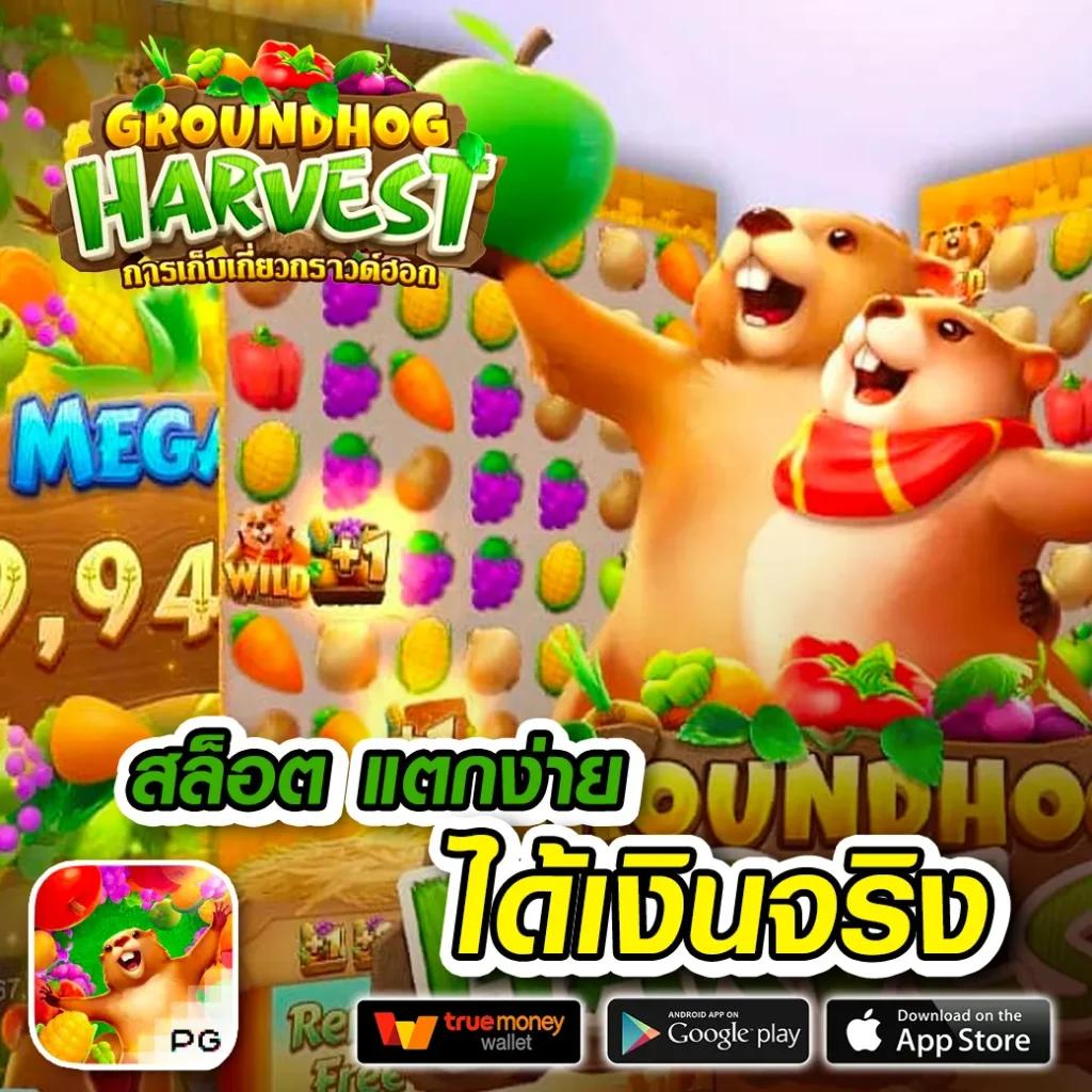 betflix8888 ทางเข้า เว็บคาสิโนออนไลน์อันดับหนึ่งของไทย
