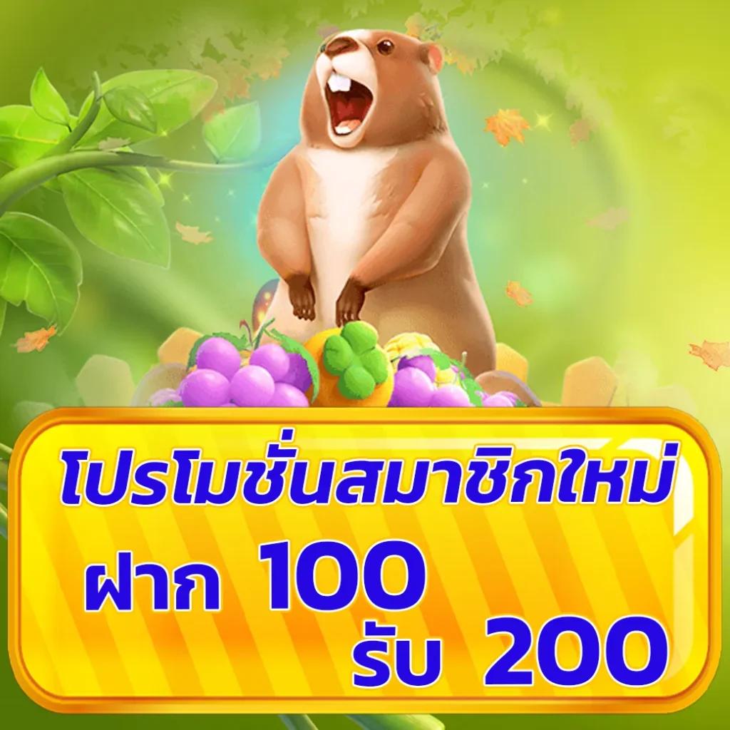 สล็อต PGZeed แจกเครดิต ฟรี ไม่มีขั้นต่ำ | อัปเดตล่าสุด 2024