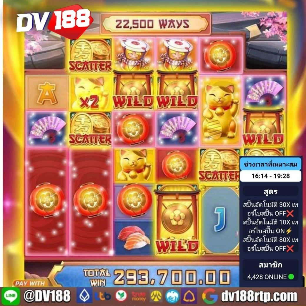หมีชมพู คาสิโนออนไลน์ รวมเกมสล็อตและเกมโต๊ะยอดนิยมในไทย